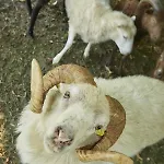 Flair Ilske 호텔 바트 쾨젠