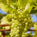 호텔 Flair Ilske 바트 쾨젠