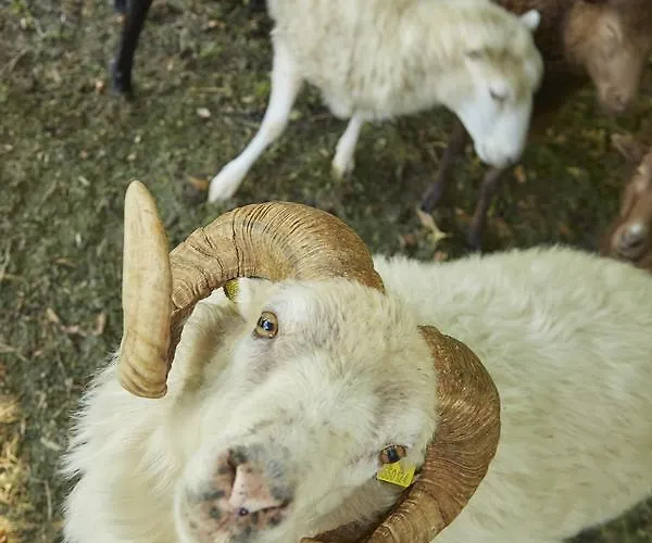 Flair Ilske Hotel Bad Kosen